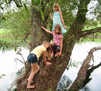 Kletternde Kinder am Baum.